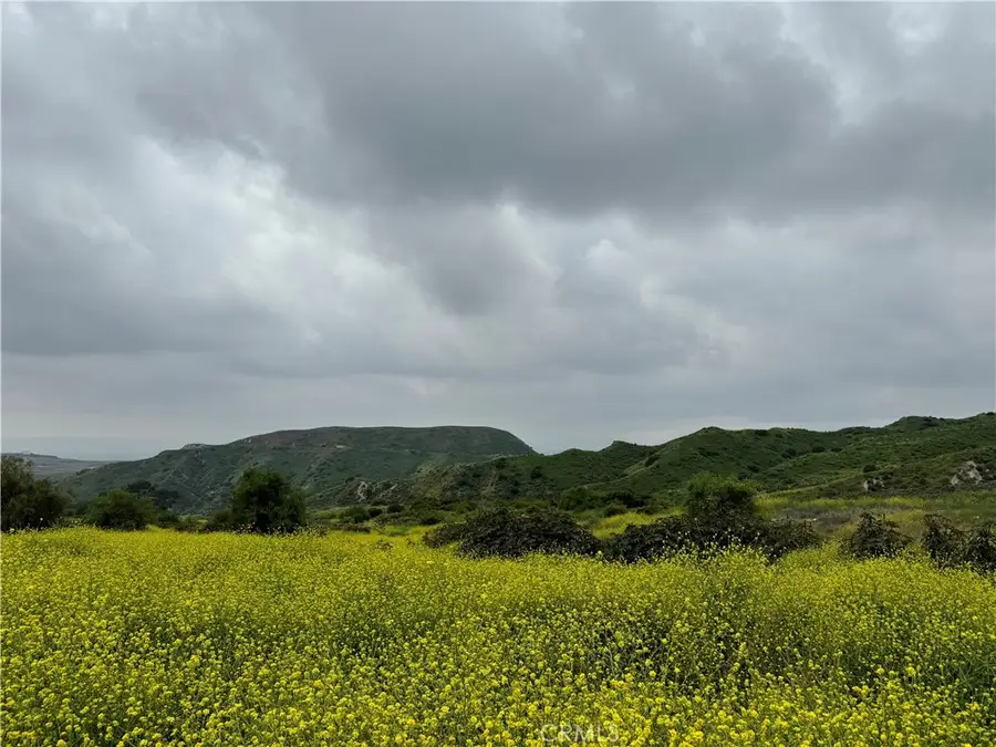 11275 Hadler Drive, Kagel Canyon, CA 91342 - #3