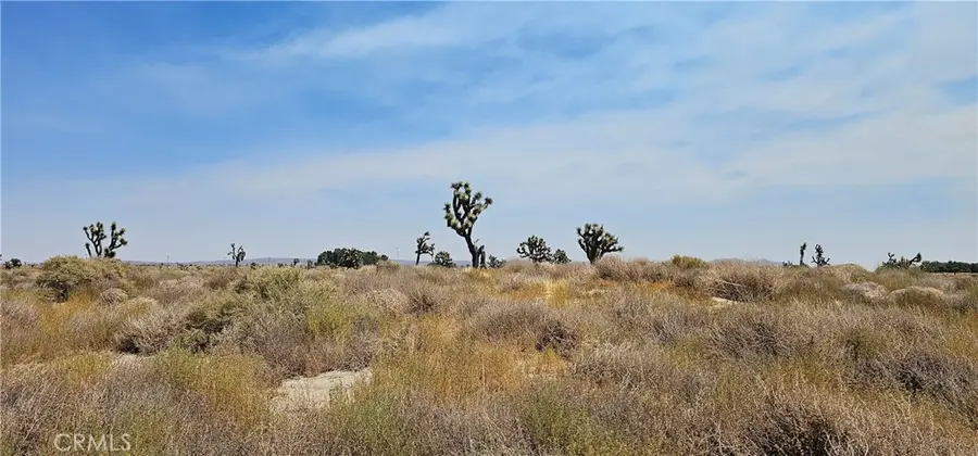 90 E Avenue I, Lancaster, CA 93535 - Image #3