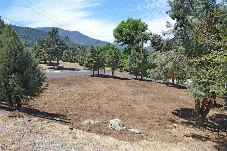2029 St Bernard Drive, Pine Mountain Club, CA 93222 - #2