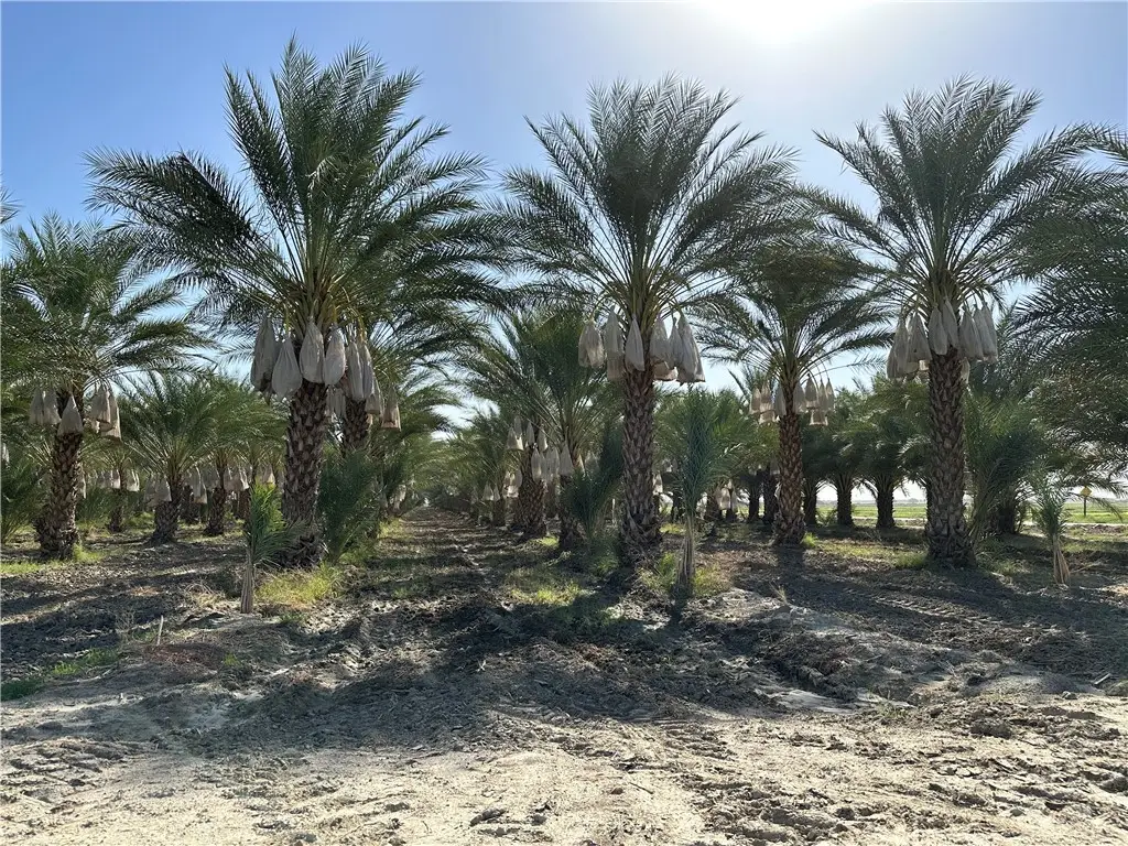 60504 Jackson Street, Vista Santa Rosa, CA 92274 - #1