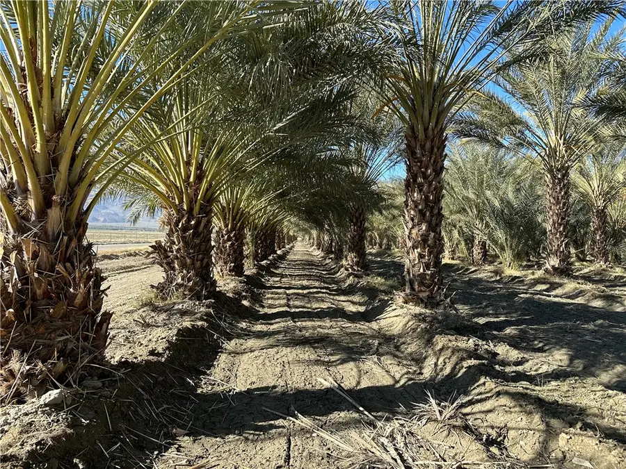 60504 Jackson Street, Vista Santa Rosa, CA 92274 - #3