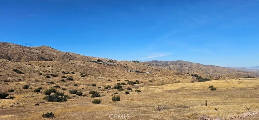0 Richter Lane, Acton, CA 93510 - #3