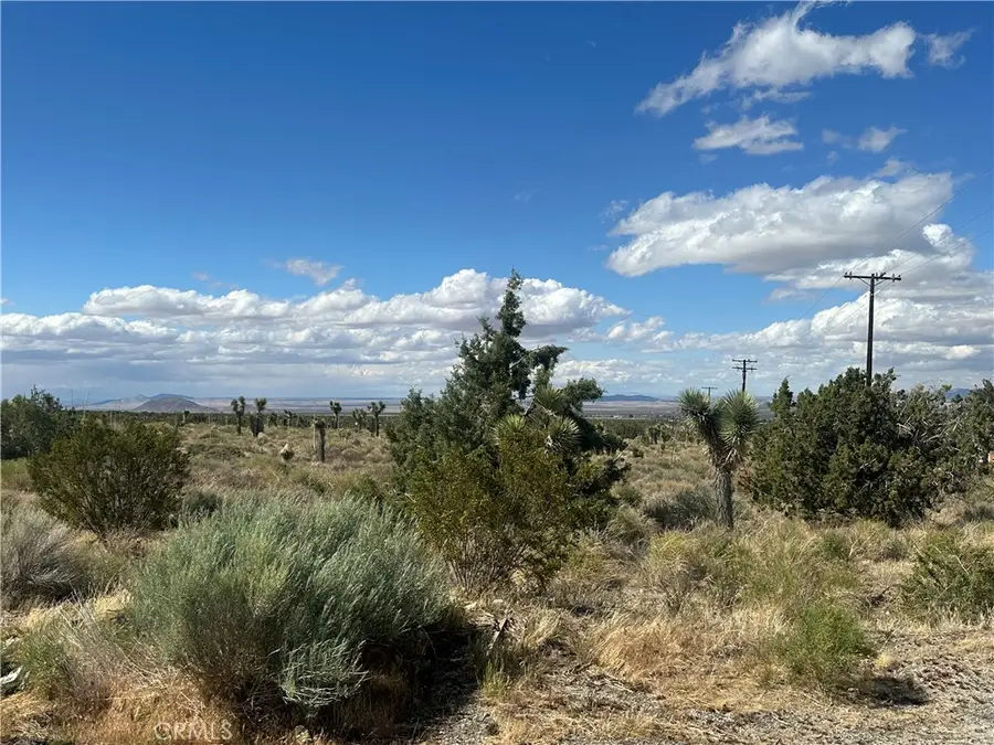 0 263rd Street E, Llano, CA 93544 - Image #3