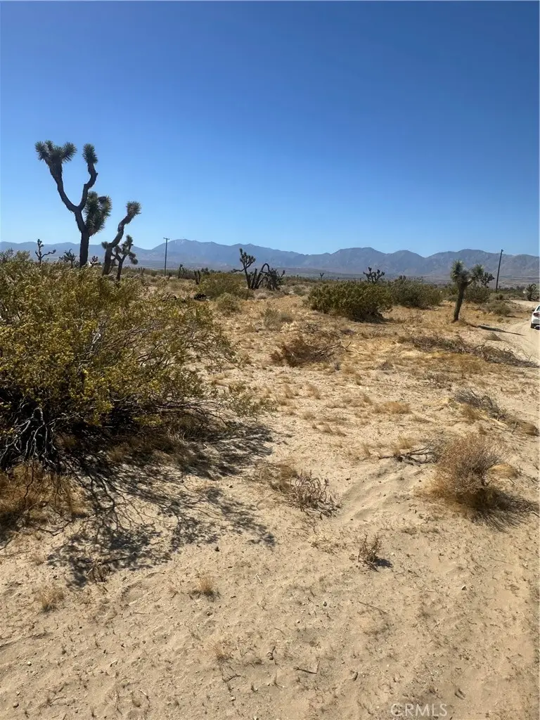 25311 E Avenue H-8, Lancaster, CA 93535 - #1