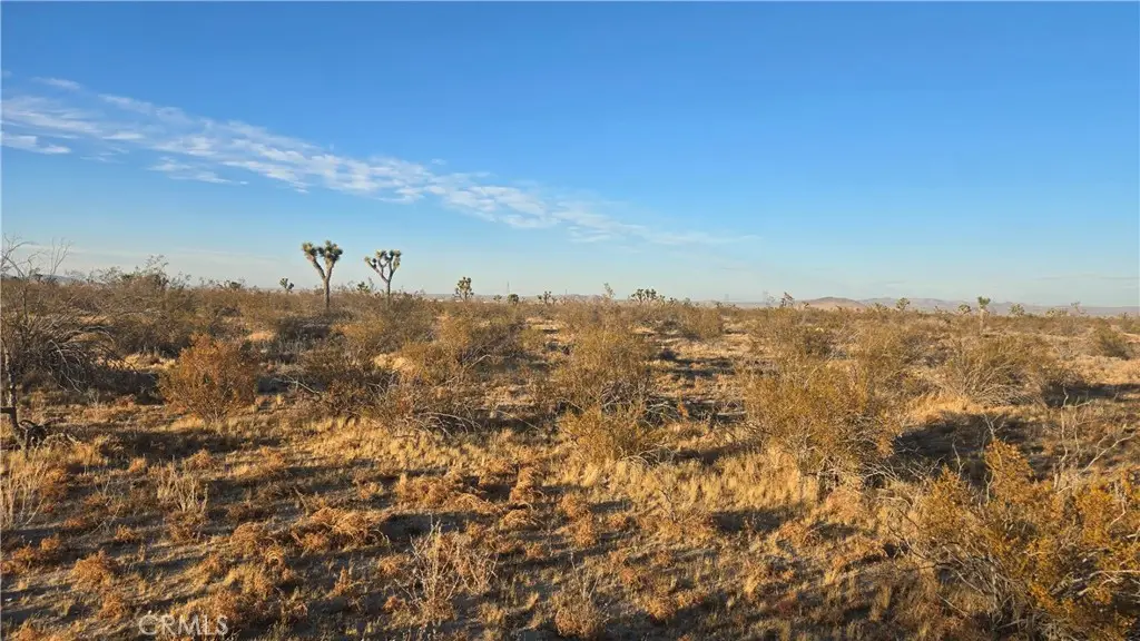 0 Avenue U4 & 257th St E, Llano, CA 93544 - #1