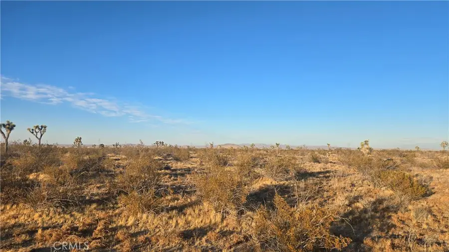 0 Avenue U4 & 257th St E, Llano, CA 93544 - #2