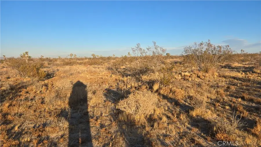 0 Avenue U4 & 257th St E, Llano, CA 93544 - #3