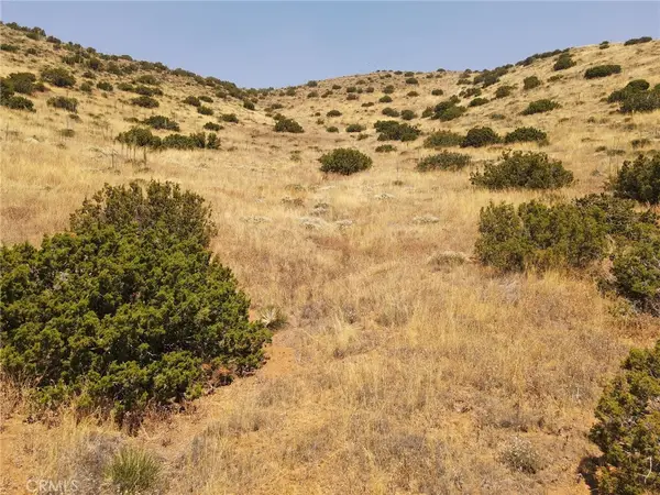0 Valleysage Road, Agua Dulce, CA 91350