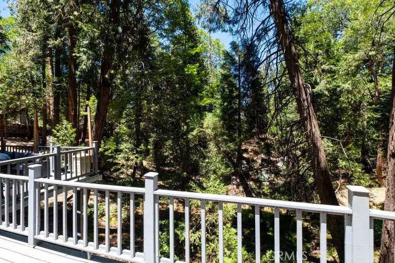 29054 Alder Ter, Cedar Glen, CA 92321 - #2