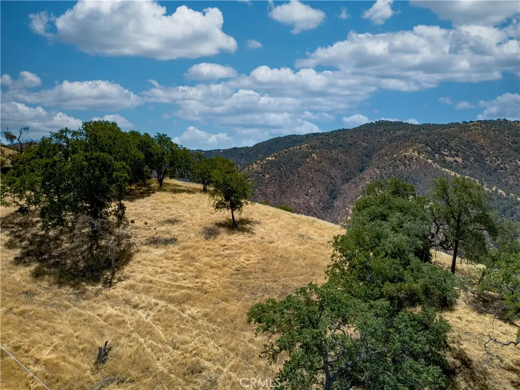 29201 Deertrail Drive, Tehachapi, CA 93561 - #1