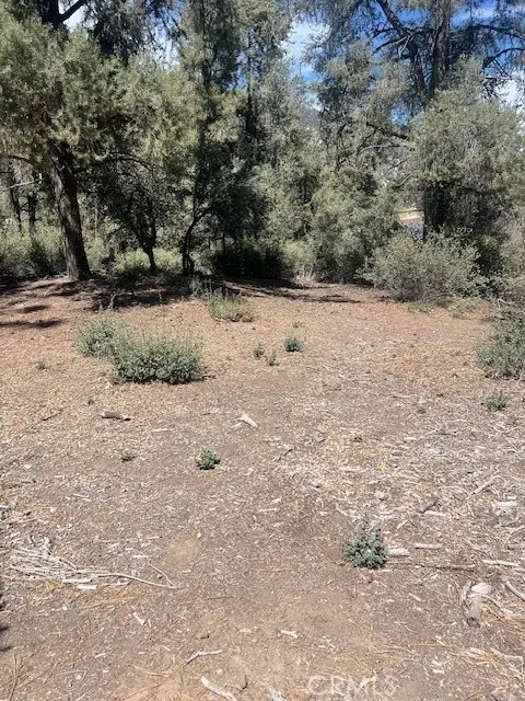 2426 Cedarwood, Pine Mountain Club, CA 93222
