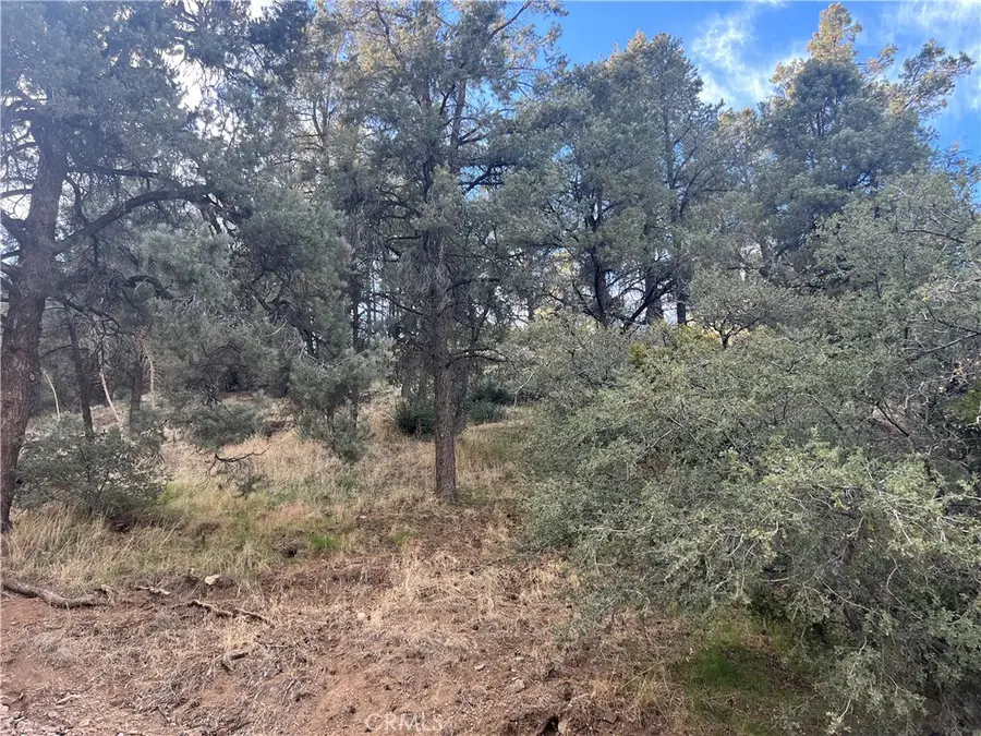 0 Encino And Truman, Frazier Park, CA 93225 - Image #3