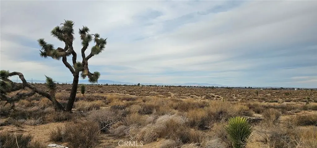 0 Avenue L4 / 23rd St E, Palmdale, CA 93550 - #1
