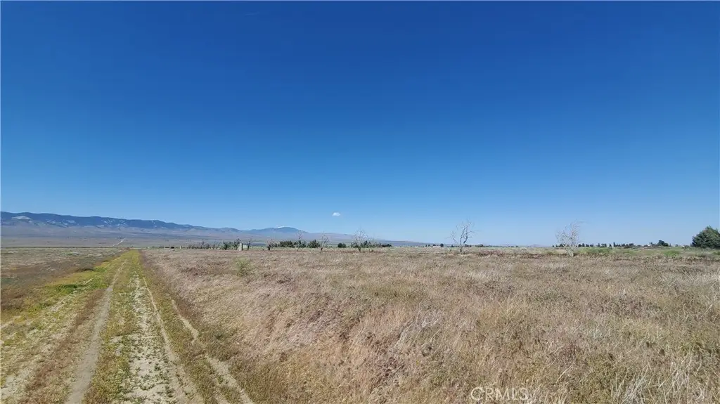 0 263rd St West North Of Ave C13, Fairmont, CA 93536 - #1