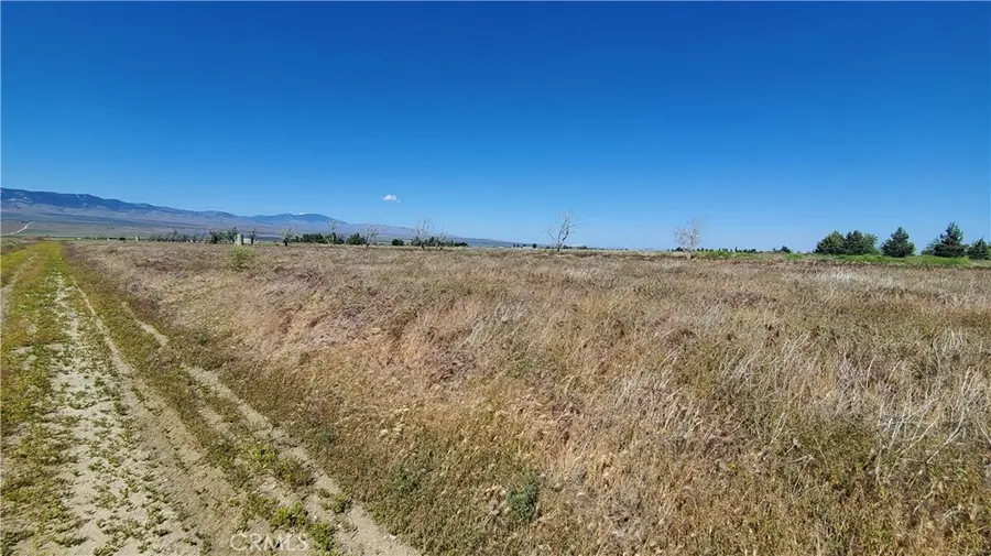 0 263rd St West North Of Ave C13, Fairmont, CA 93536 - #3
