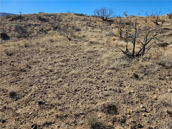 6 128th E, Juniper Hills, CA 93543