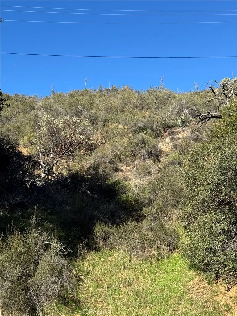 0 Vac/san Francisquito Cyn, Green Valley, CA 91350 - #3