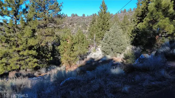 15113 Chestnut Drive, Pine Mountain Club, CA 93222