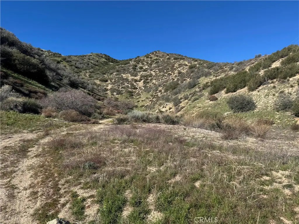 0 Munz Ranch Rd/150 W, Del Sur, CA 93536 - #1