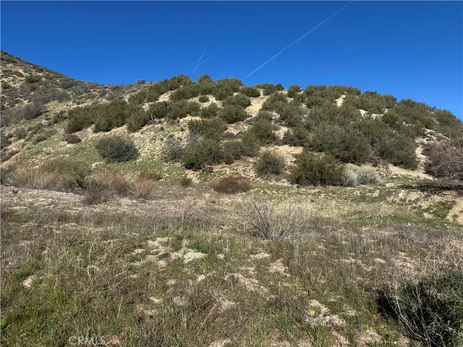 0 Munz Ranch Rd/150 W, Del Sur, CA 93536 - #2