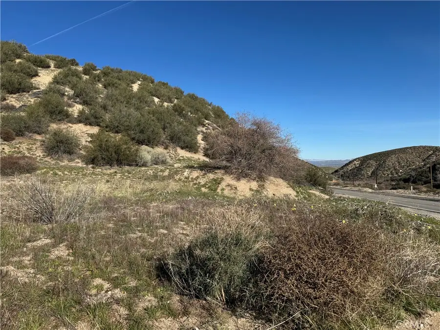 0 Munz Ranch Rd/150 W, Del Sur, CA 93536 - #3