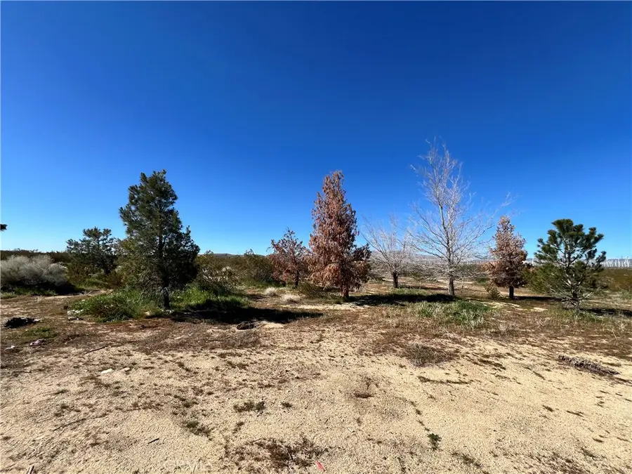 10376 55th Street W, Mojave, CA 93501 - #2
