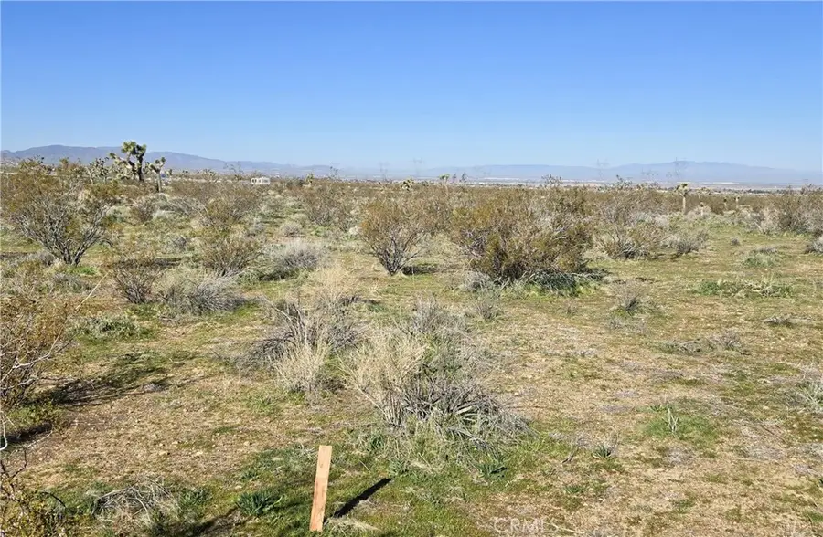 th E Ave V8 & 106th E, Pearblossom, CA 93553 - #3