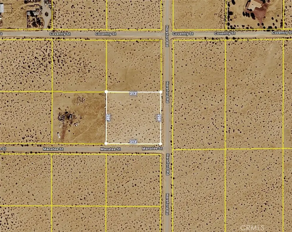 0 Corner Of Manatee St/hereford Rd, Newberry Springs, CA 92365 - #1