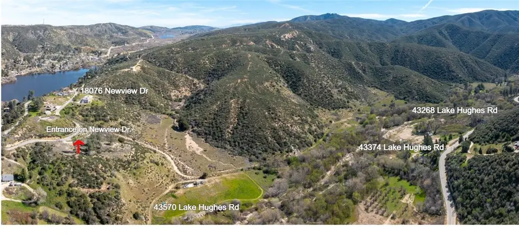43460 Newview Drive, Lake Hughes, CA 93532 - #1