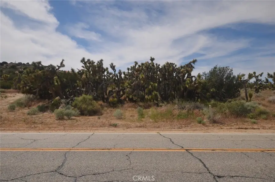 0 Longview & Old Homestead, Juniper Hills, CA 93543 - #3