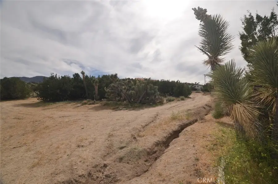 0 Longview X Old Homestead, Juniper Hills, CA 93553 - #3