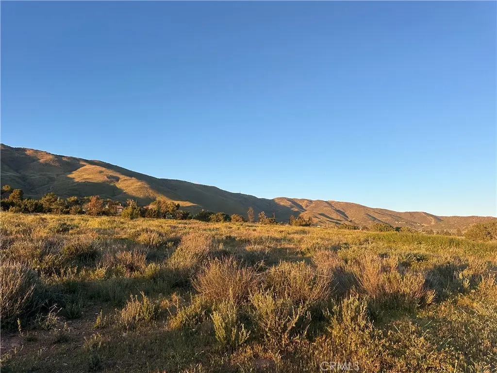 2 Hannah Ct Shannondale, Acton, CA 93510 - #1