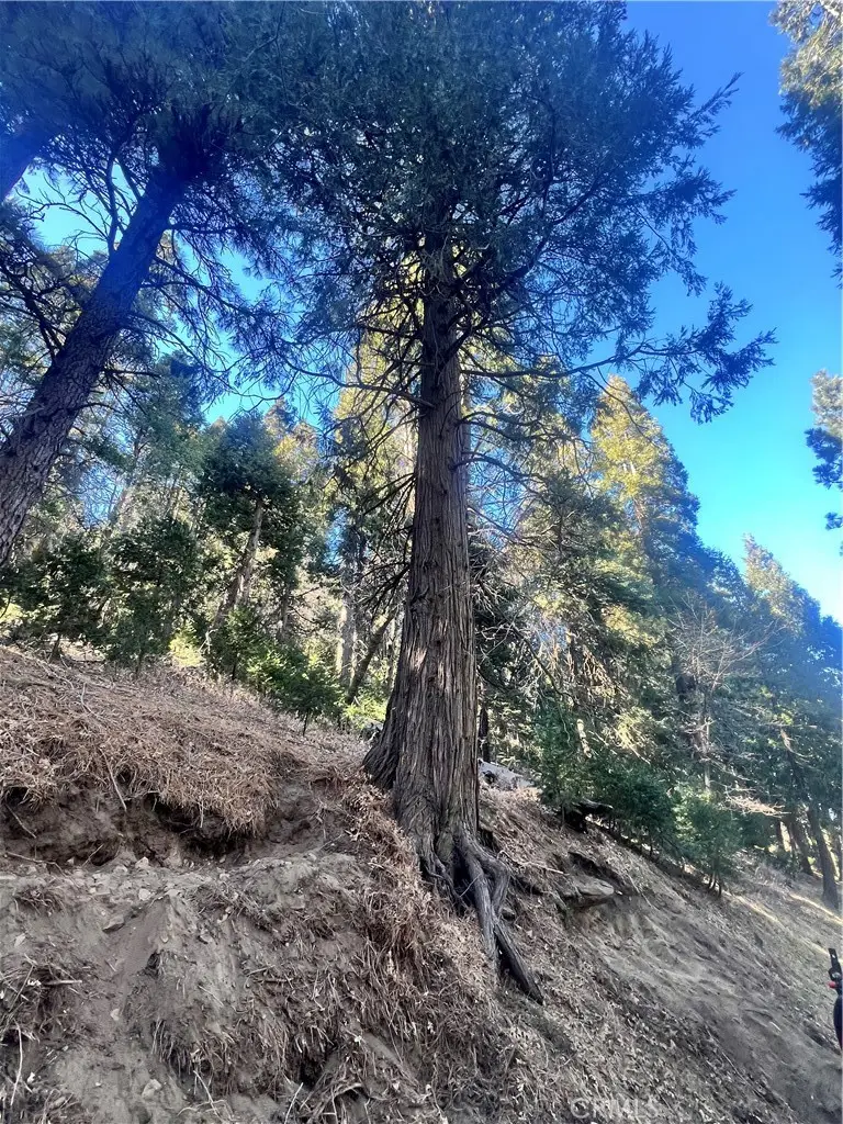 0 Reservoir, Cedarpines Park, CA 92322 - #1