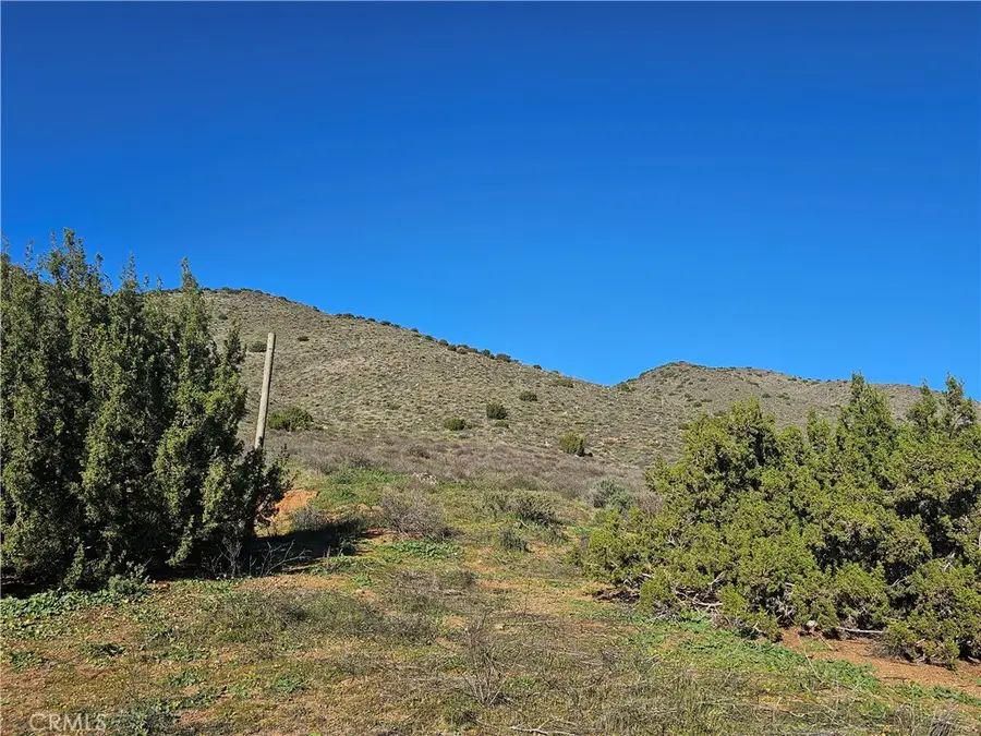 0 Escondido Canyon, Agua Dulce, CA 91350 - #3