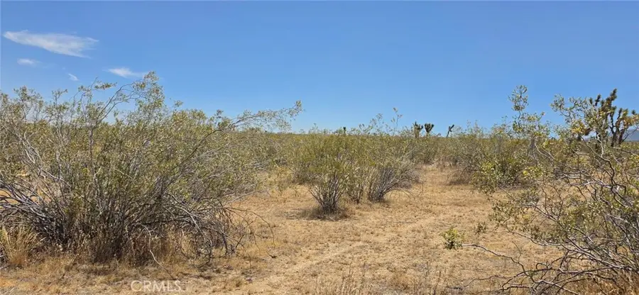 0 187th / Avenue W10, Llano, CA 93591 - #2