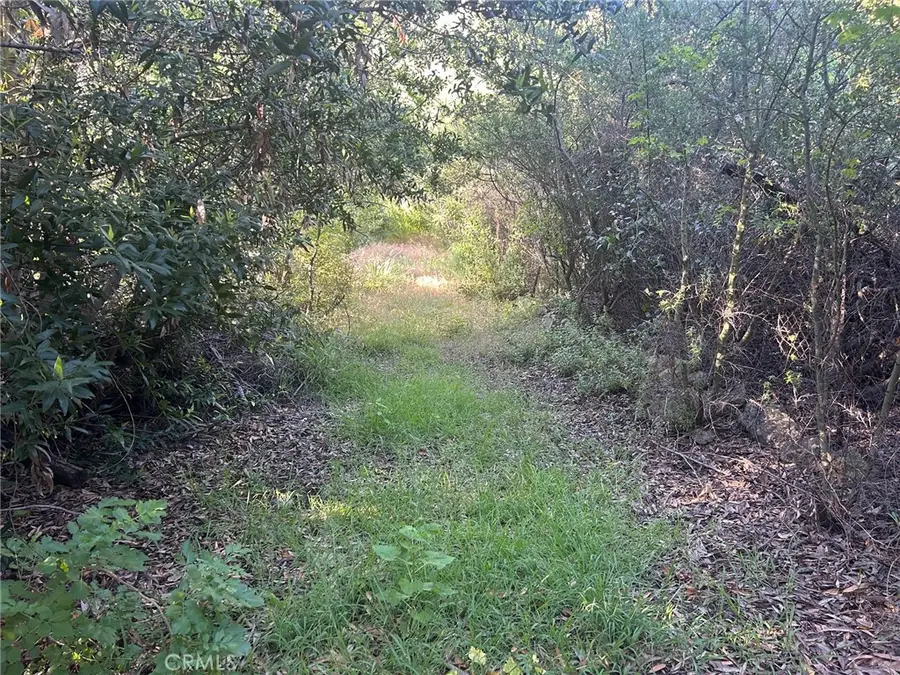 1455 Barrymore, Malibu, CA 90265 - #2