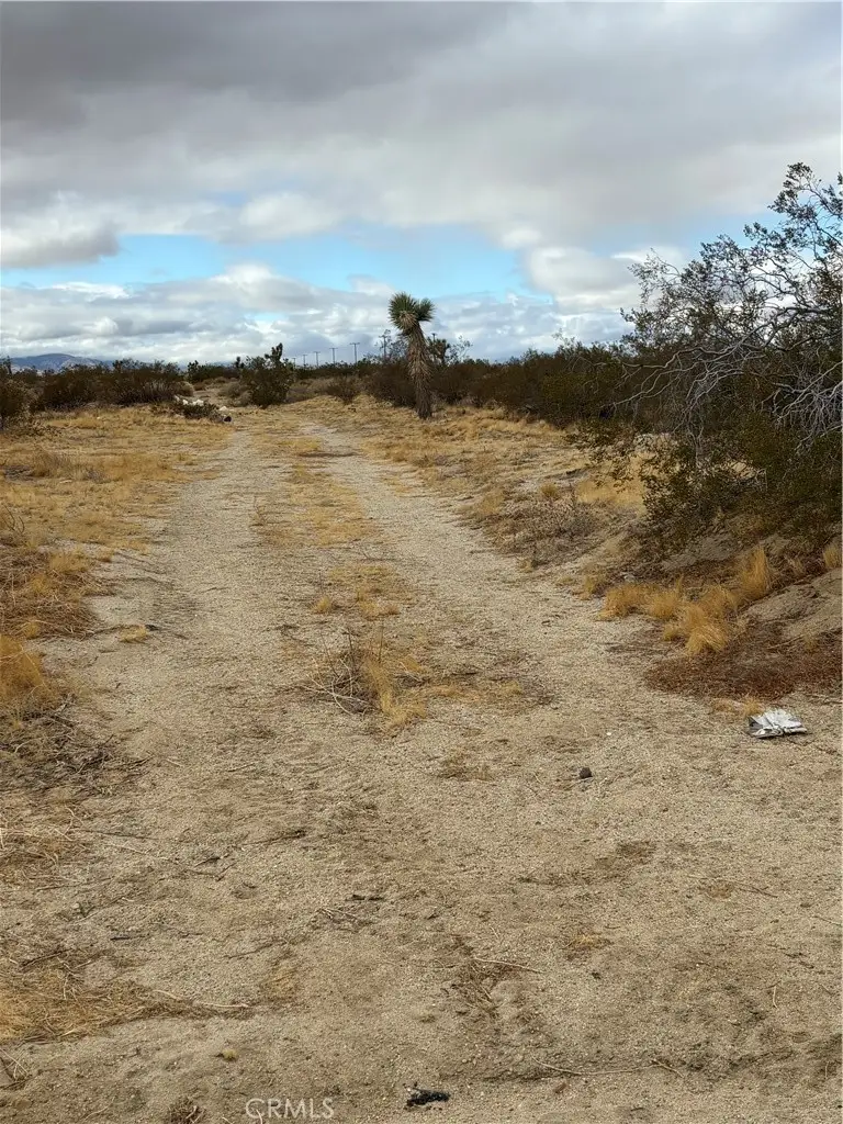 165 E Avenue S8, Palmdale, CA 93591 - #2