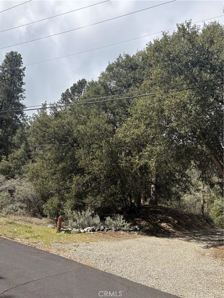 1709 Zion, Pine Mountain Club, CA 93222 - #1