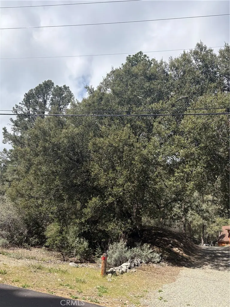 1709 Zion, Pine Mountain Club, CA 93222 - #2