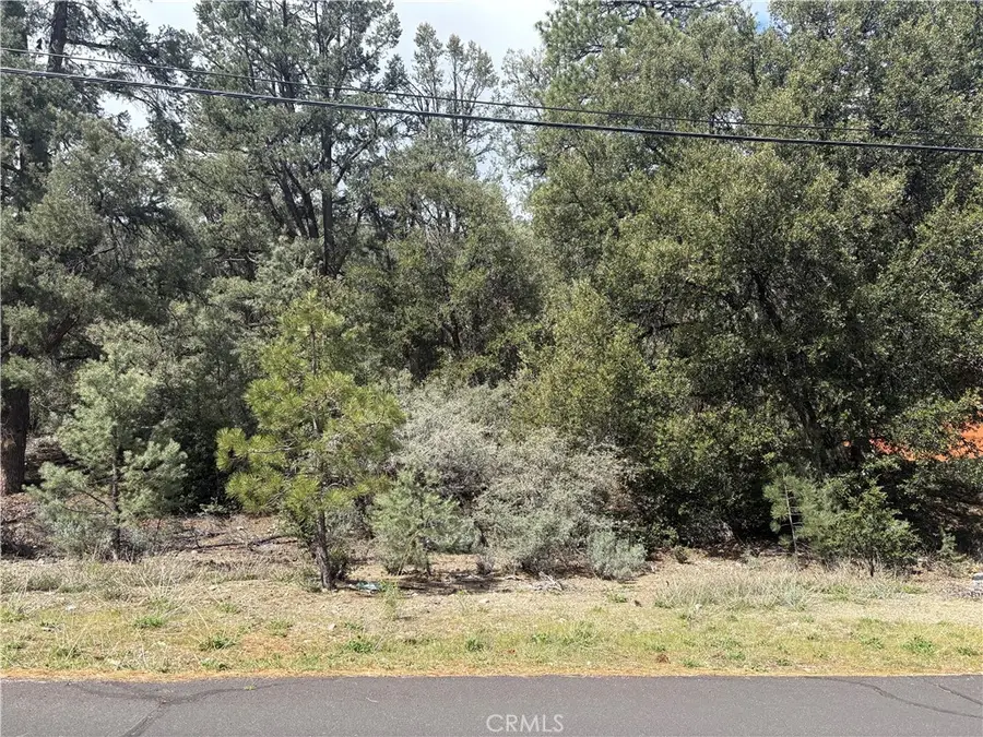 1709 Zion, Pine Mountain Club, CA 93222 - #3