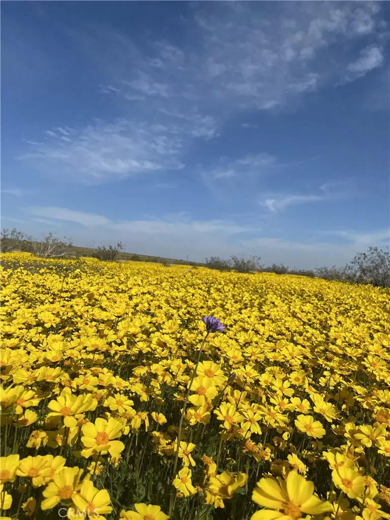 0 Vacant Land, Mojave, CA 93501 - #1