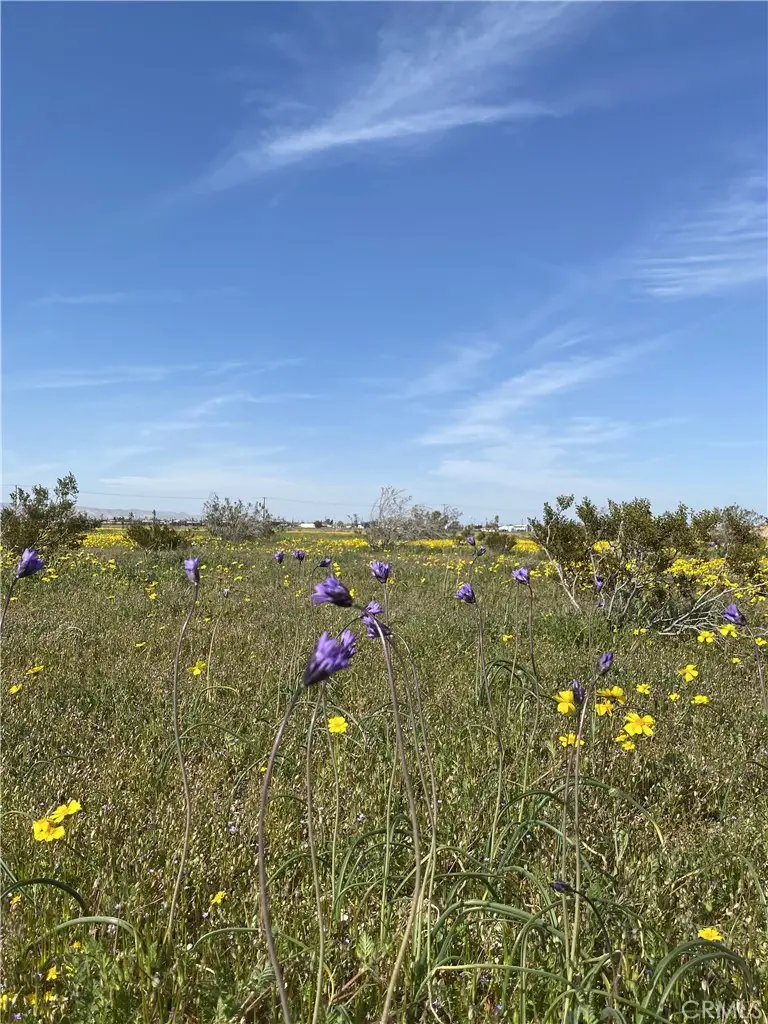 0 Vacant Land, Mojave, CA 93501 - #2