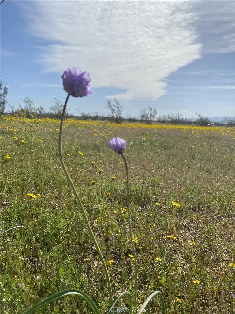 0 Vacant Land, Mojave, CA 93501 - #3