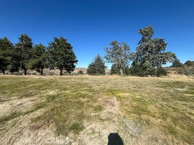40007 92nd Street W, Leona Valley, CA 93551 - #2