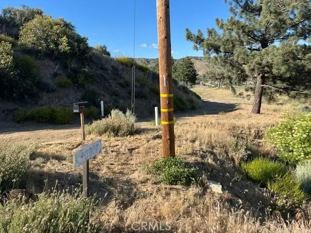 40007 92nd Street W, Leona Valley, CA 93551 - #3