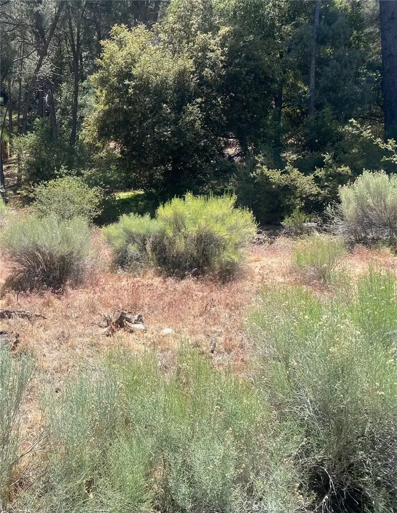 13708 Yellowstone, Frazier Park, CA 93225 - #1