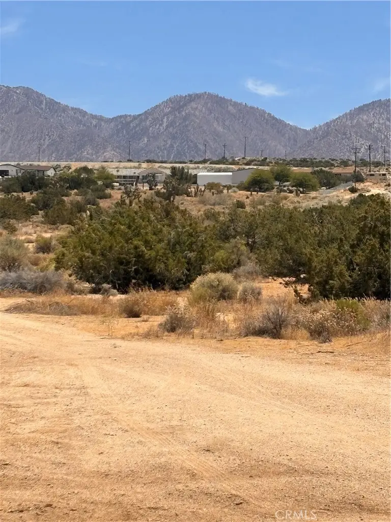 0 126th, Pearblossom, CA 93553 - #1
