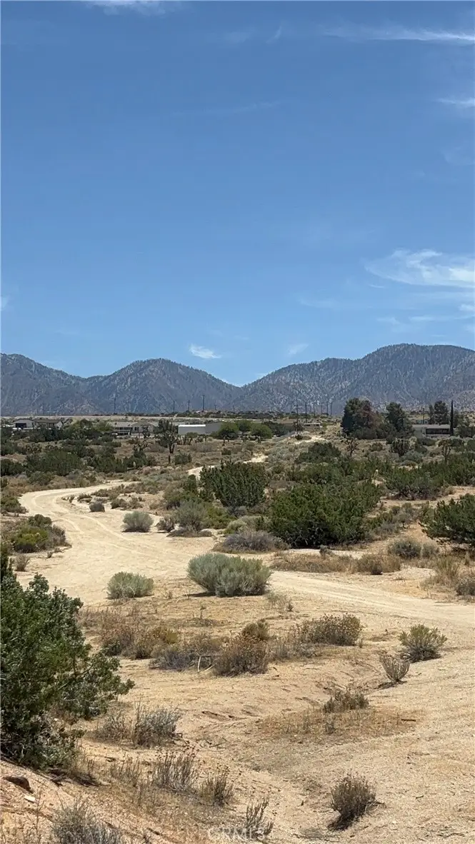 0 126th, Pearblossom, CA 93553 - #2