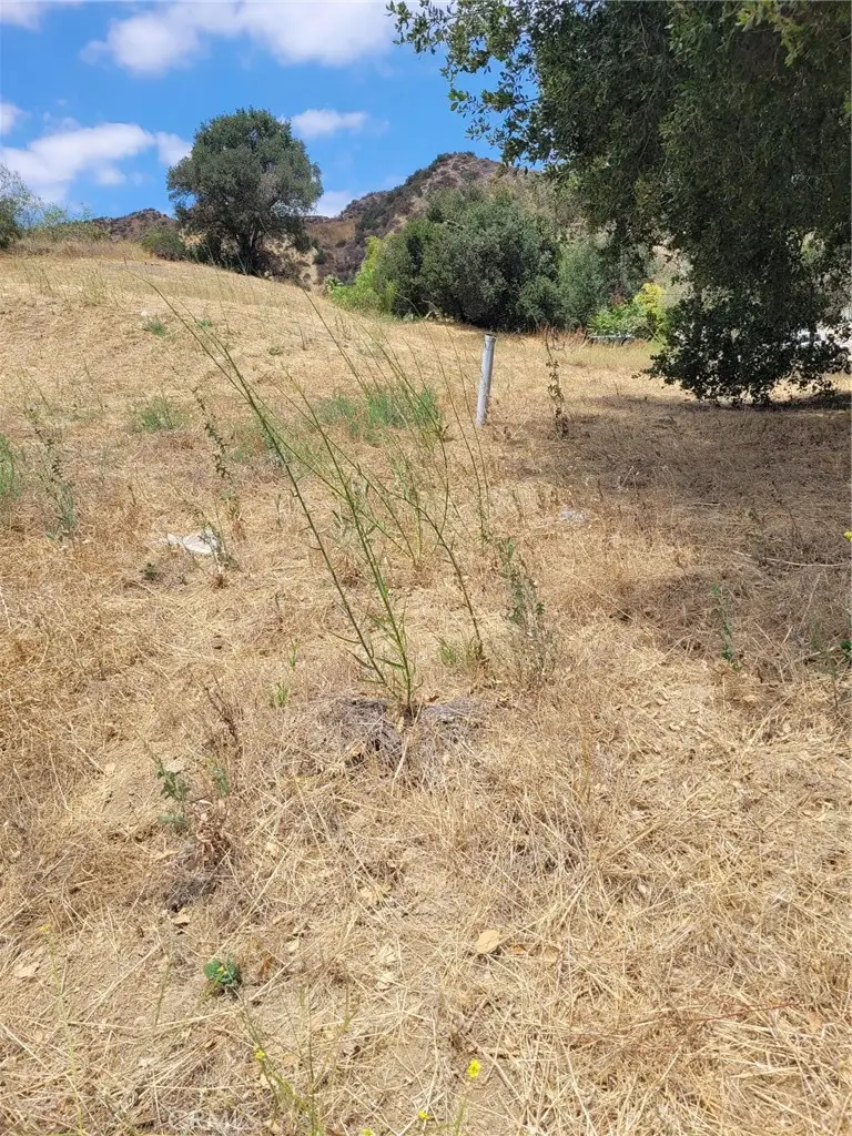 0 San Martinez Rd., Val Verde, CA 91384 - #2