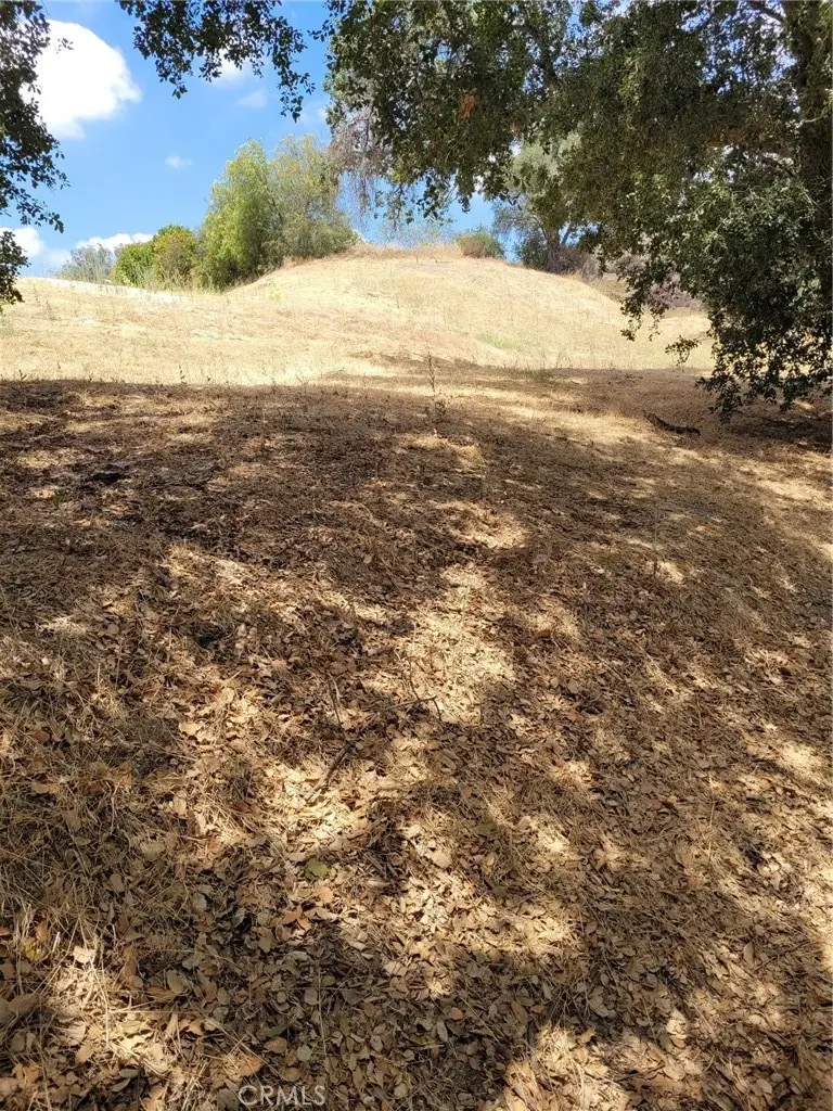 0 San Martinez Rd., Val Verde, CA 91384 - #3
